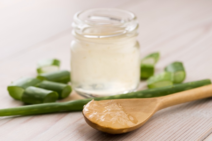 Aloe vera Blätter und Gel