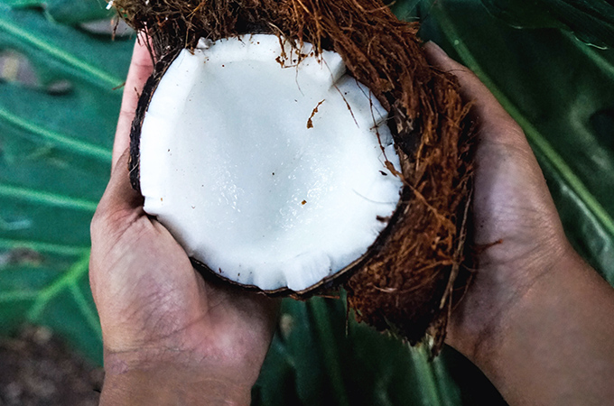 Kokosnuss, Naturkosmetik