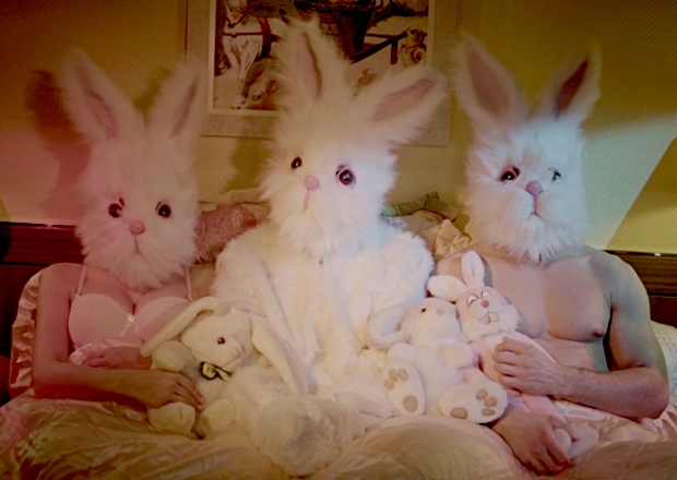 Is The Easter Bunny Male Or Female Carrera - 